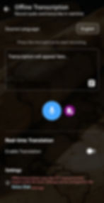 Offline Transcription interface in Layla